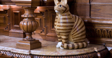 Kedilere Olan Sevgimizi Kutlayan 10 Kedi Müzesi