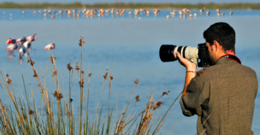 Nadir Türlerin Fotoğrafını Çekmek için 10 Kuş Gözlem Noktası