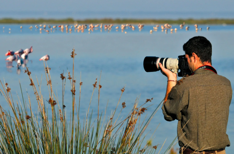 Nadir Türlerin Fotoğrafını Çekmek için 10 Kuş Gözlem Noktası